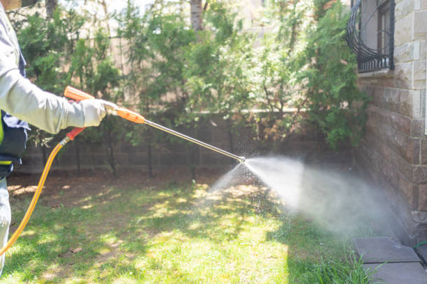 Best Outdoor Pest Control  in Smyrna, DE